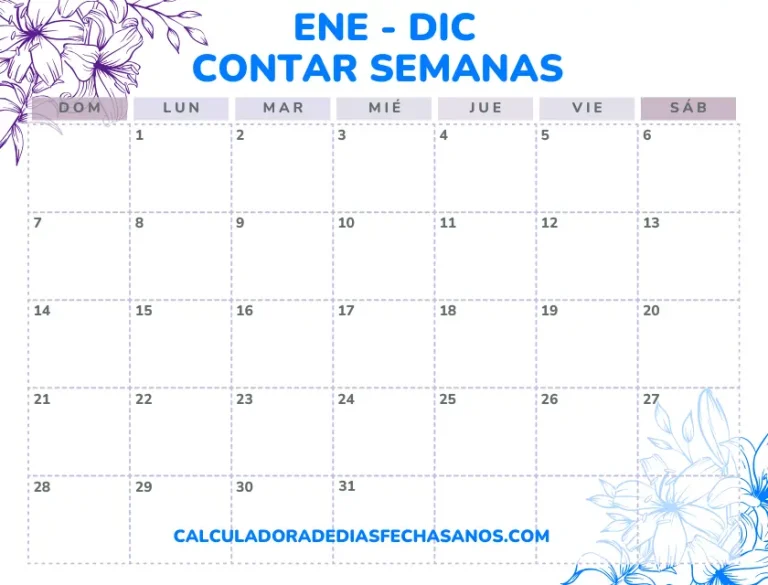 calculadora de semanas - contar semanas